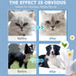 🎁Last Day Promotion 49% OFF🔥Pet Bathing Wipes for Dogs & Cats, Cleaning & Deodorizing Grooming Gloves