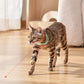🎁Hot Sale 49% Off🐱Rechargeable Wearable Electronic Collar for Cat