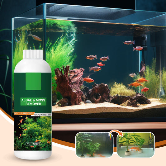 🎉 Algae & Moss Remover for Fish Tank and Fish Pond - Safe Water Purification