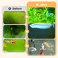 🎉 Algae & Moss Remover for Fish Tank and Fish Pond - Safe Water Purification