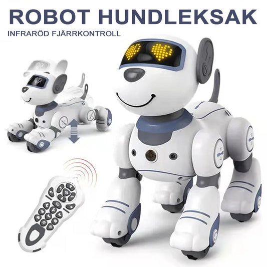 Ideal Present - Fjärrkontrollerad Robot Hundleksak För Barn